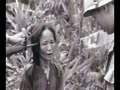 ベトナム戦争での韓国軍の悪行